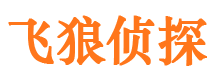 丰满寻人公司